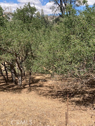 MLS #NS25141437 image #2