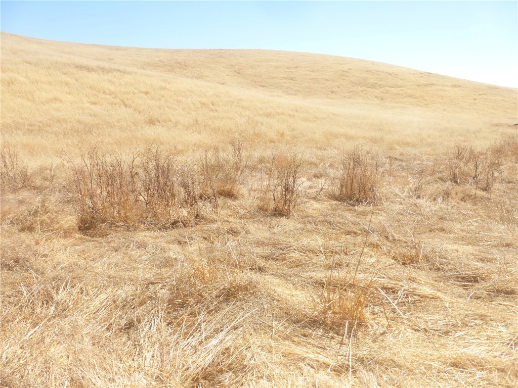 MLS #NS25160041 image #18