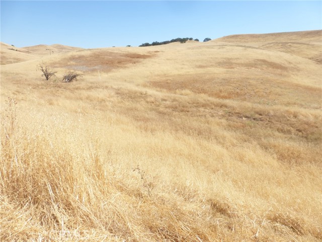 MLS #NS25160245 image #5