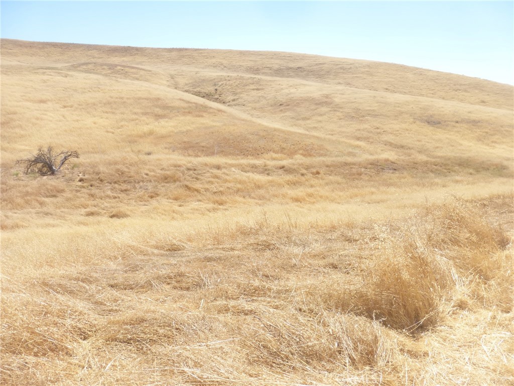 MLS #NS25160270 image #10