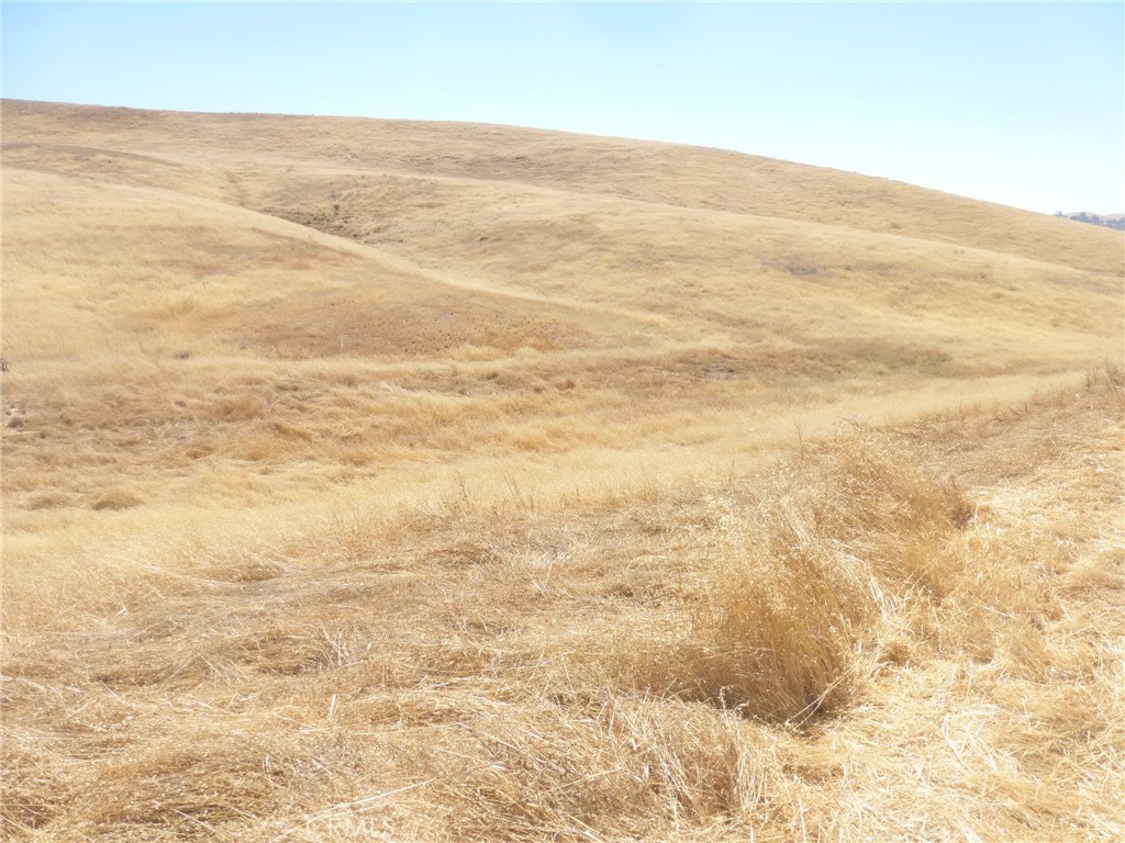 MLS #NS25160270 image #15