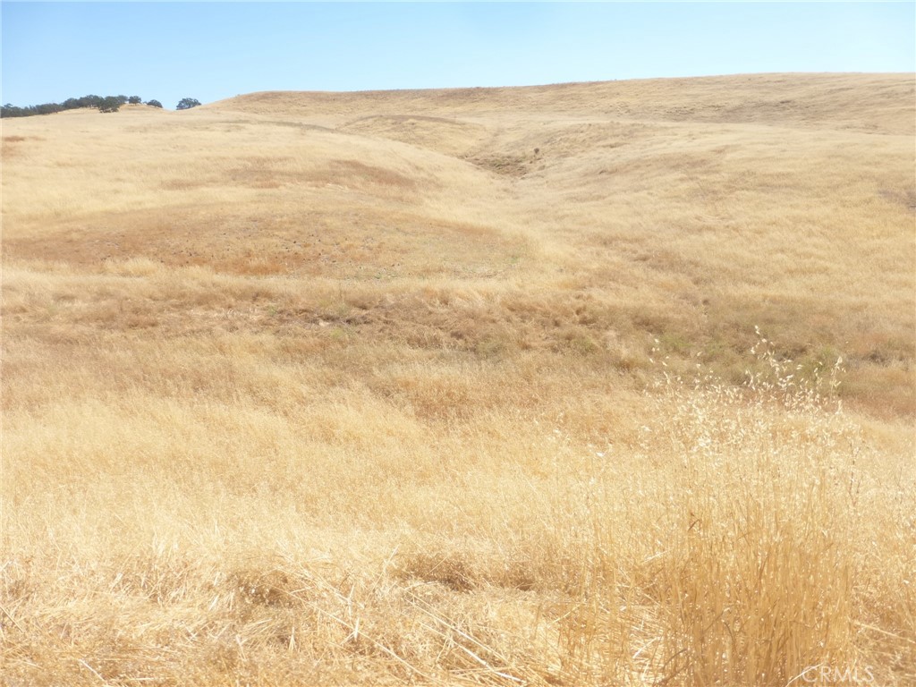 MLS #NS25160270 image #19