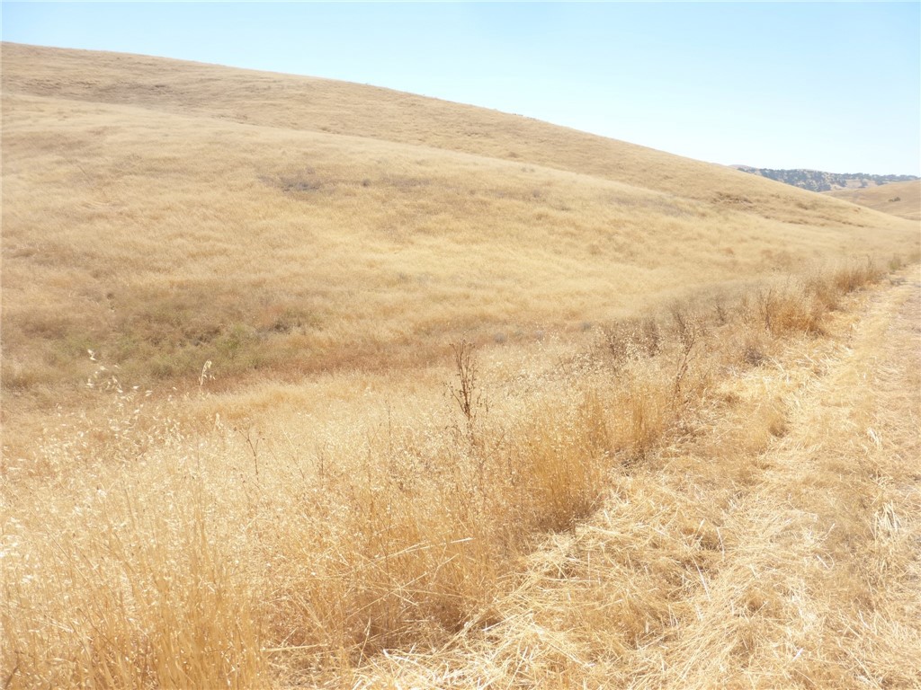 MLS #NS25160270 image #20