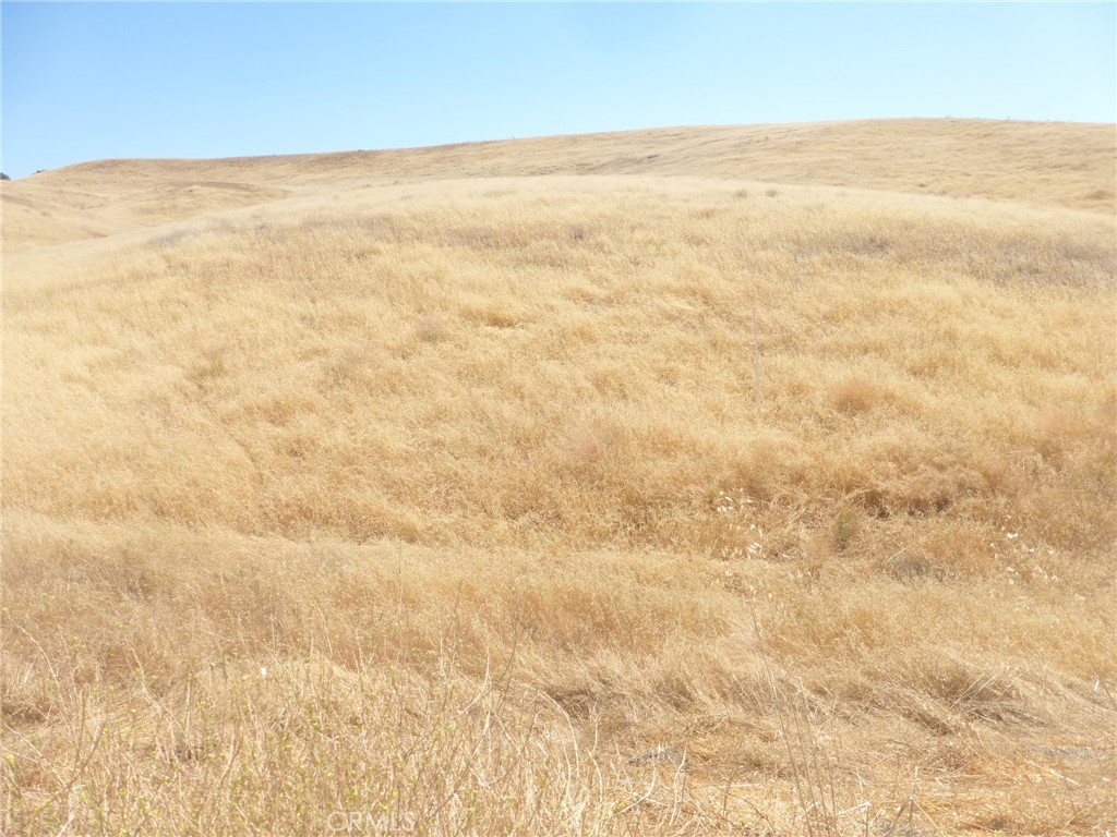 MLS #NS25160270 image #21