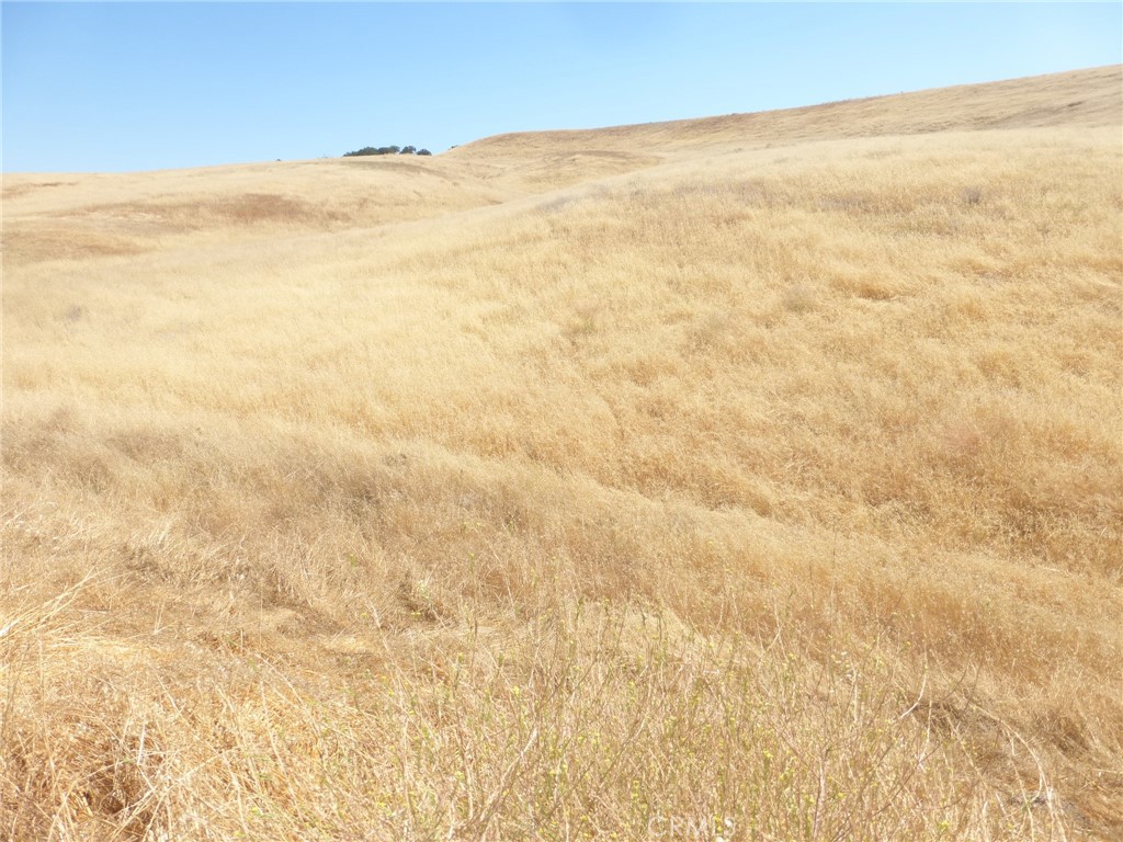 MLS #NS25160270 image #22