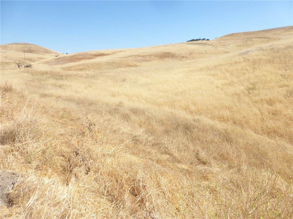 MLS #NS25160270 image #23