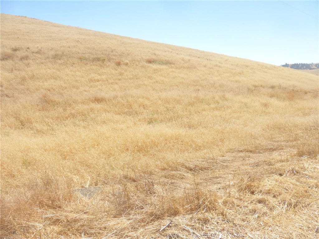 MLS #NS25160270 image #26