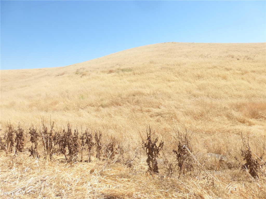 MLS #NS25160270 image #30