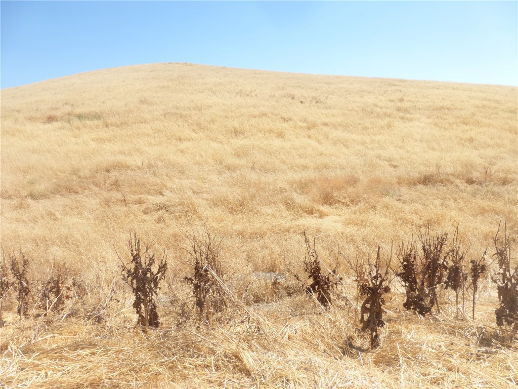 MLS #NS25160270 image #31