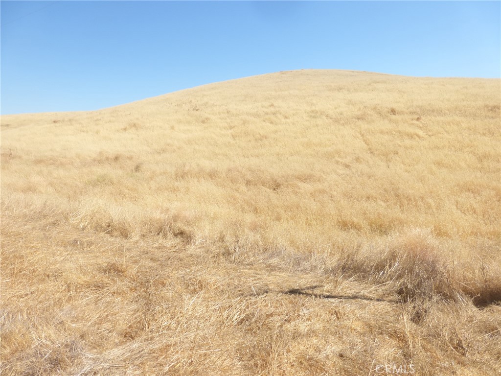 MLS #NS25160270 image #34