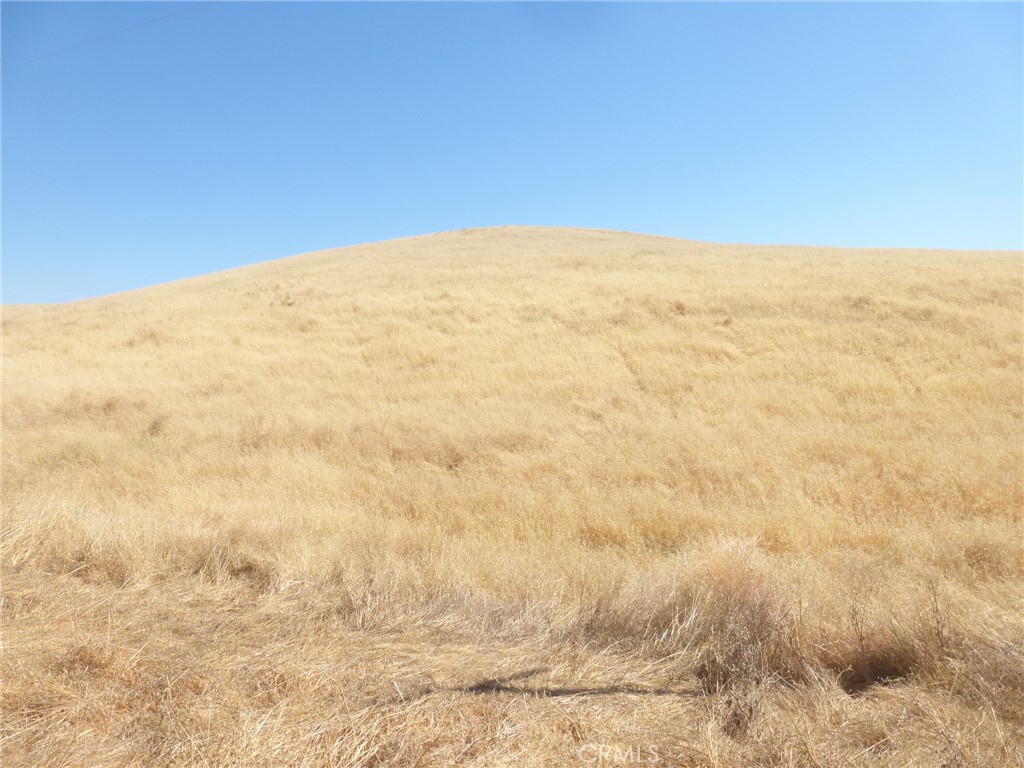 MLS #NS25160270 image #35