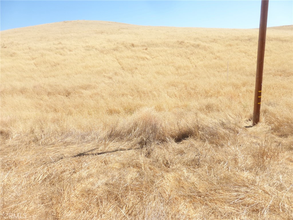 MLS #NS25160270 image #36