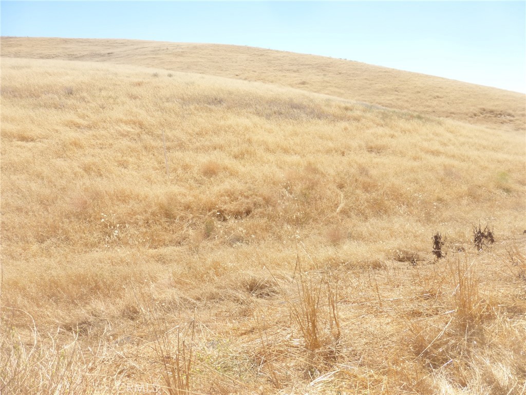 MLS #NS25160270 image #37