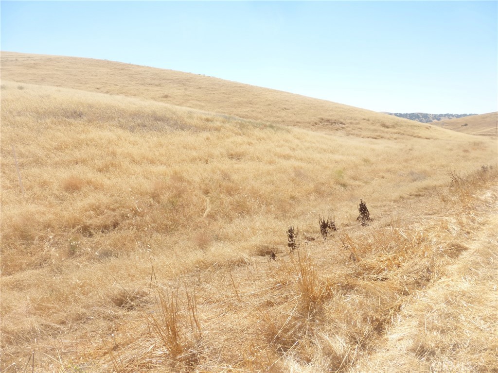 MLS #NS25160270 image #38