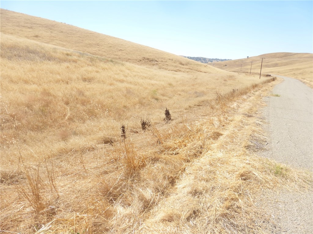 MLS #NS25160270 image #39