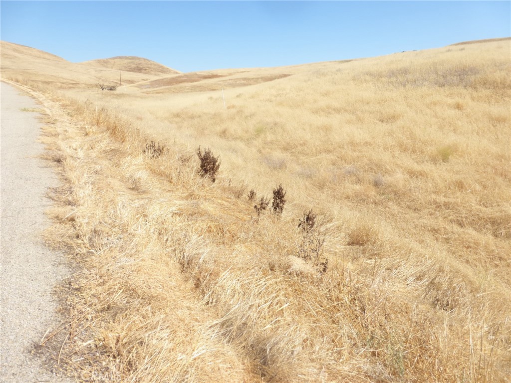 MLS #NS25160270 image #40