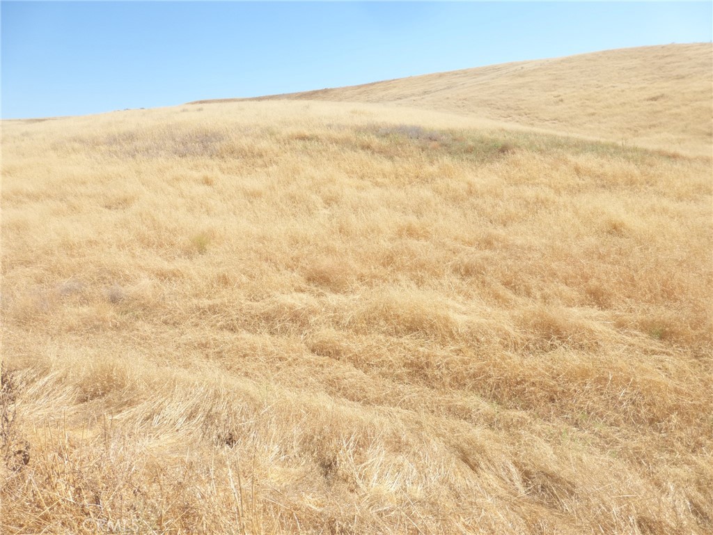 MLS #NS25160270 image #41