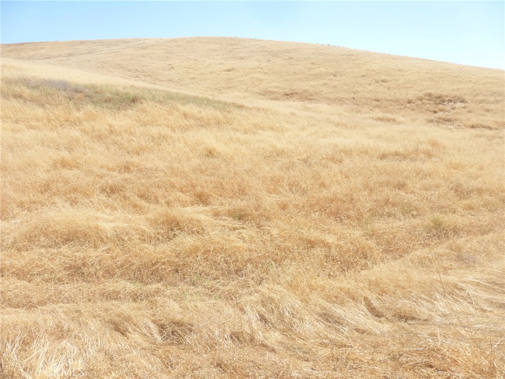 MLS #NS25160270 image #42