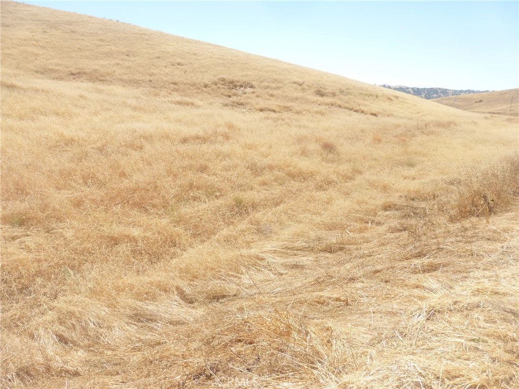 MLS #NS25160270 image #43