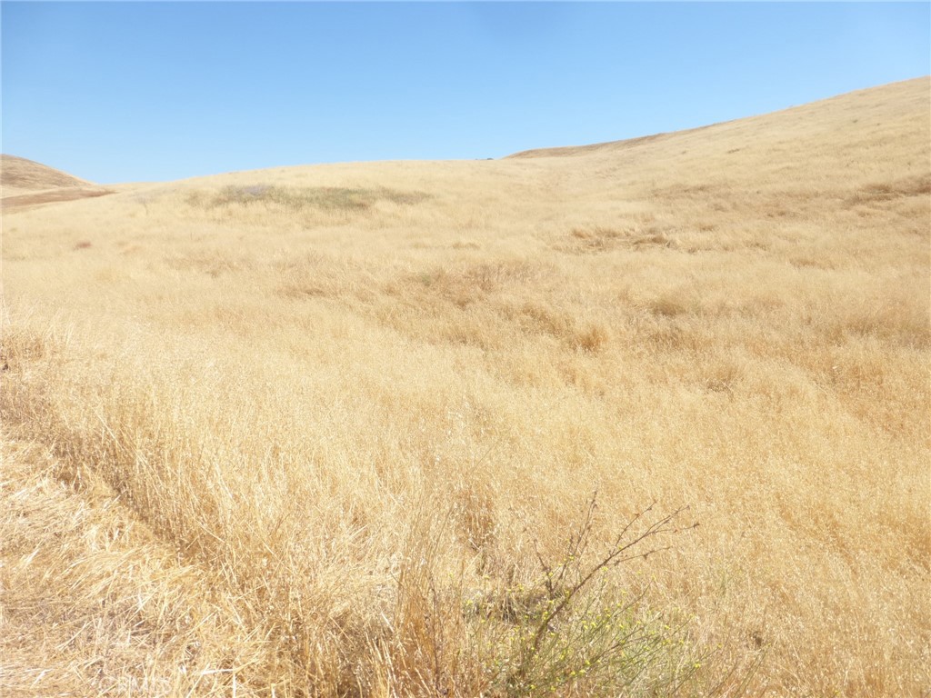 MLS #NS25160270 image #47