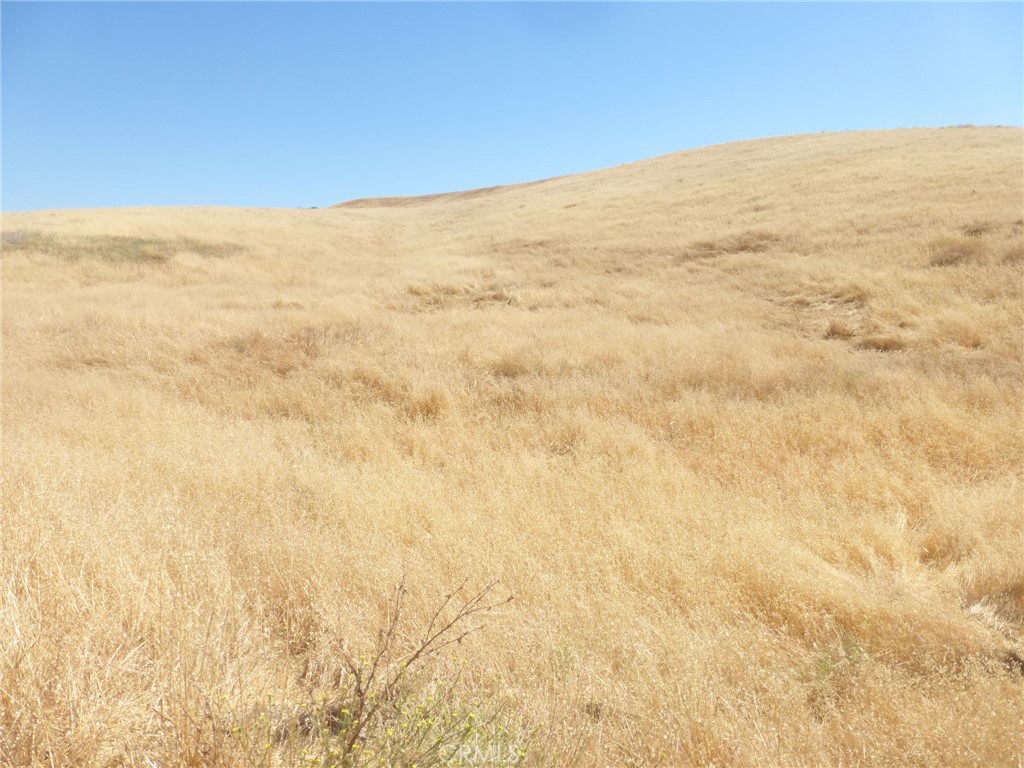 MLS #NS25160270 image #48