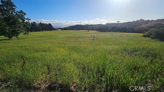 MLS #NS25162572 image #54