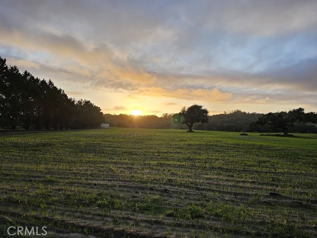 MLS #NS25162572 image #55