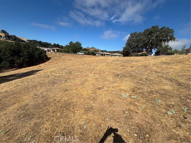 MLS #NS25166154 image #2