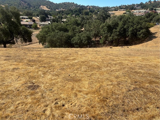 MLS #NS25166154 image #4