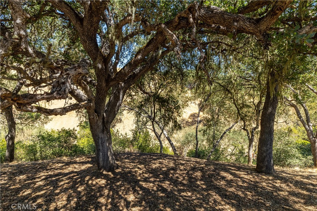 MLS #NS25170146 image #50