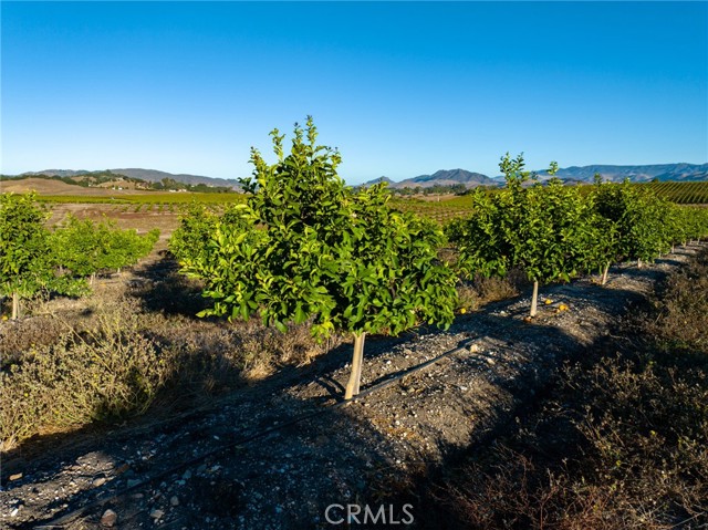 MLS #NS25173494 image #65
