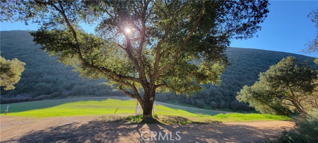 MLS #NS25176454 image #2