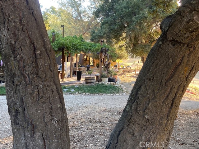 MLS #NS25176454 image #25