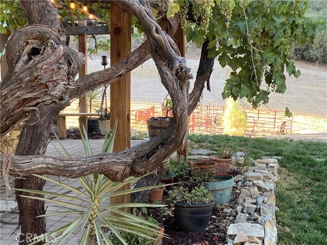 MLS #NS25176454 image #34