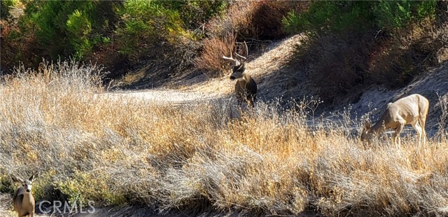 MLS #NS25176454 image #38