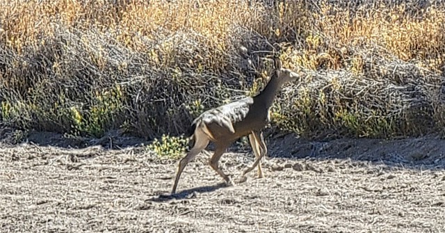 MLS #NS25176454 image #39