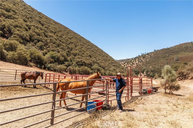 MLS #NS25176454 image #41