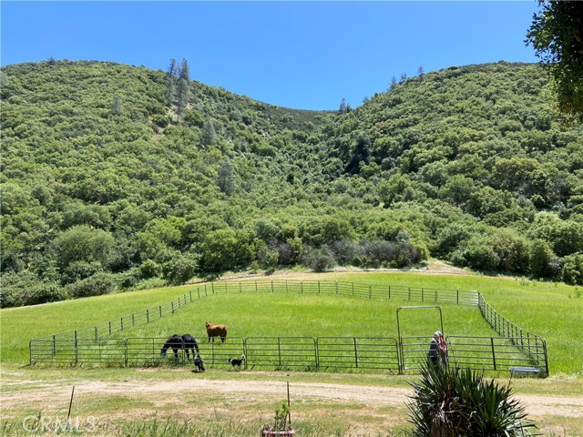 MLS #NS25176454 image #42