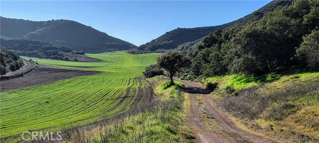 MLS #NS25176454 image #6