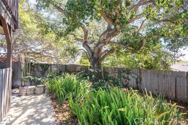 MLS #NS25177627 image #39