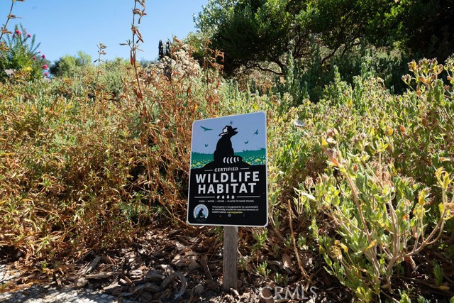 MLS #NS25178017 image #25