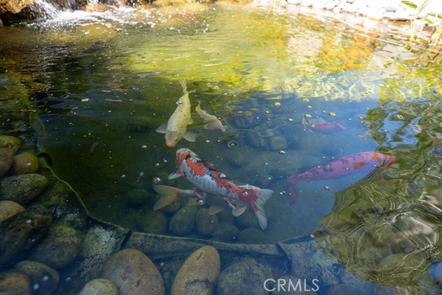 MLS #NS25178017 image #31