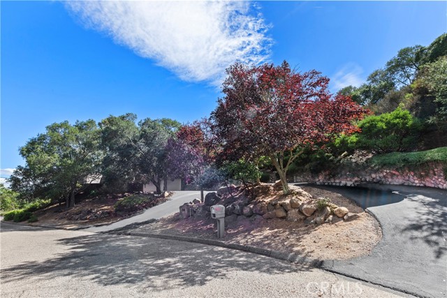 MLS #NS25178017 image #44