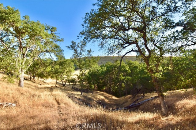 MLS #NS25178338 image #10