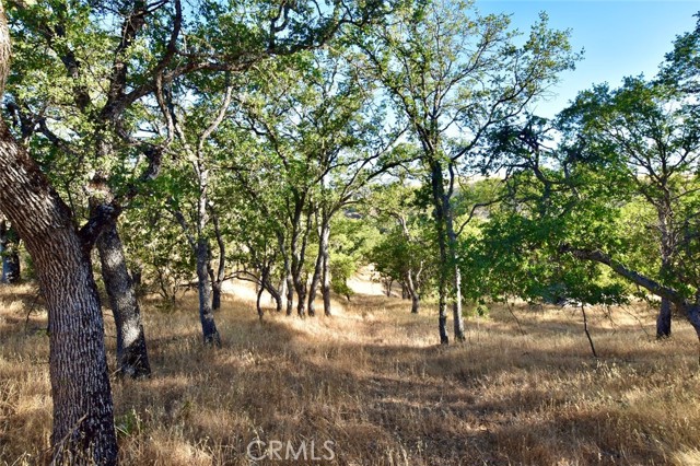 MLS #NS25178338 image #11