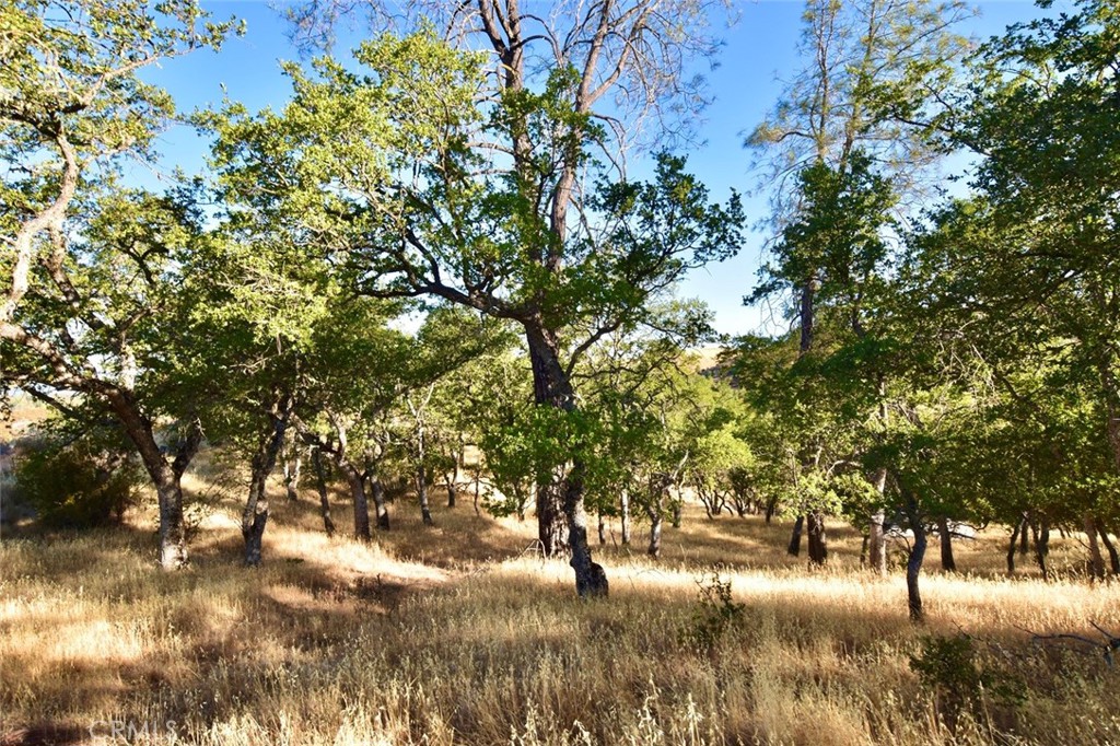 MLS #NS25178338 image #12