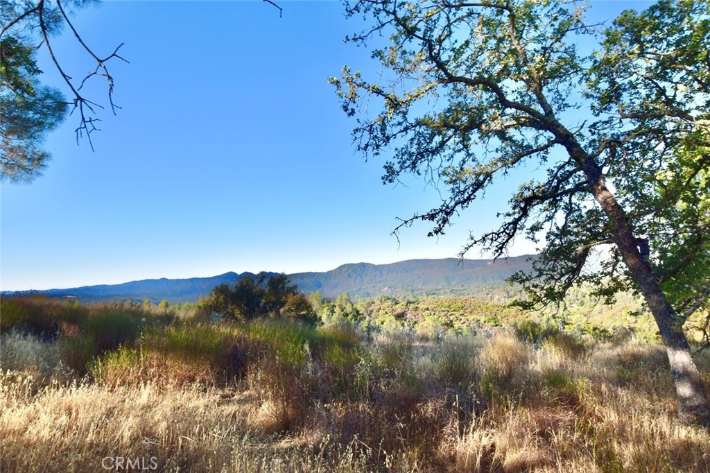 MLS #NS25178338 image #13