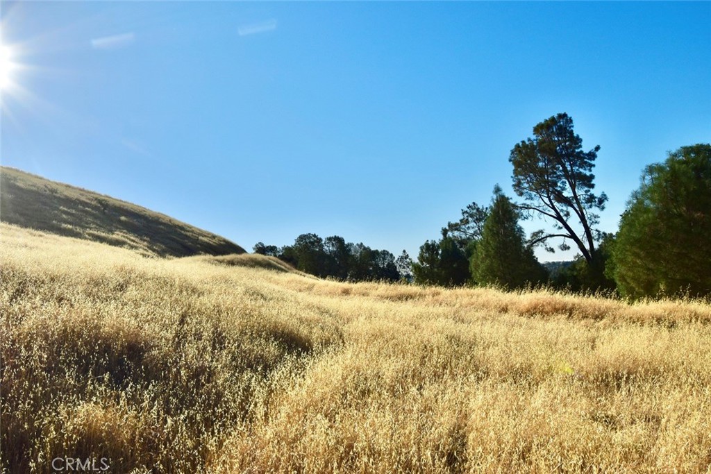 MLS #NS25178338 image #16