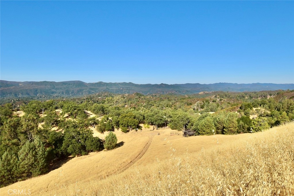 MLS #NS25178338 image #2