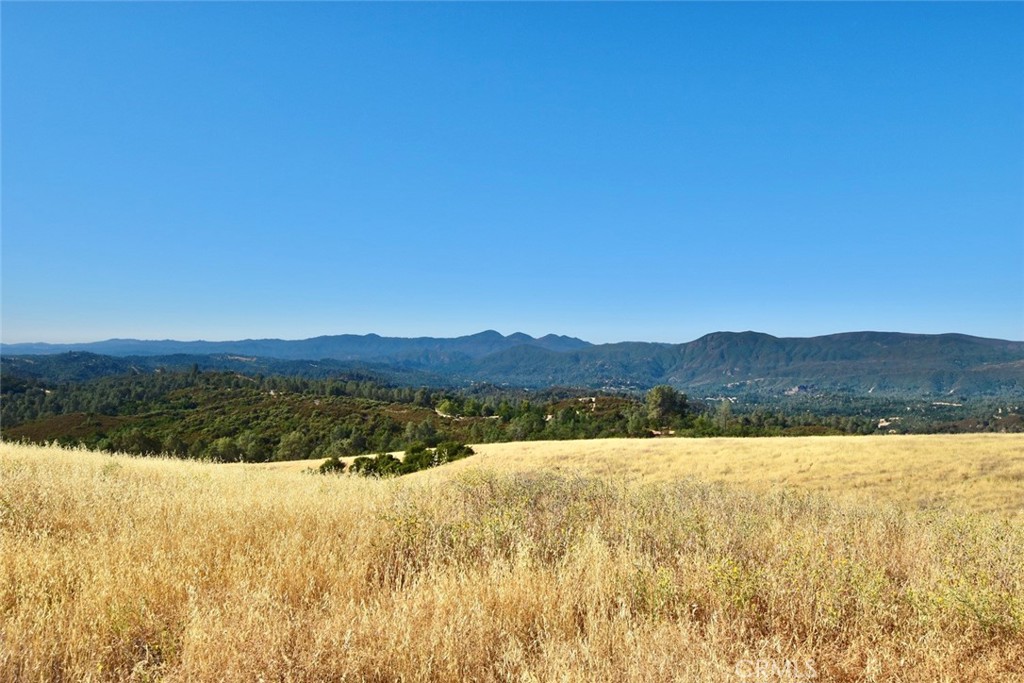 MLS #NS25178338 image #4